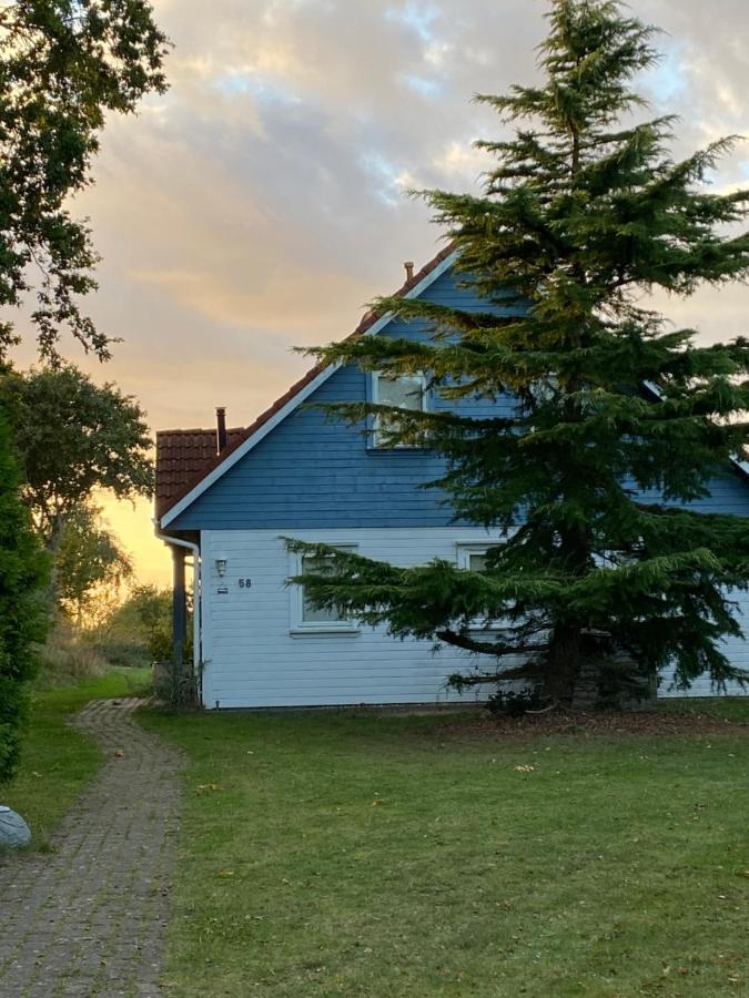Freistehendes Einfamilienhaus Mit Boddenblick Naehe Ostsee Fuhlendorf  Dış mekan fotoğraf